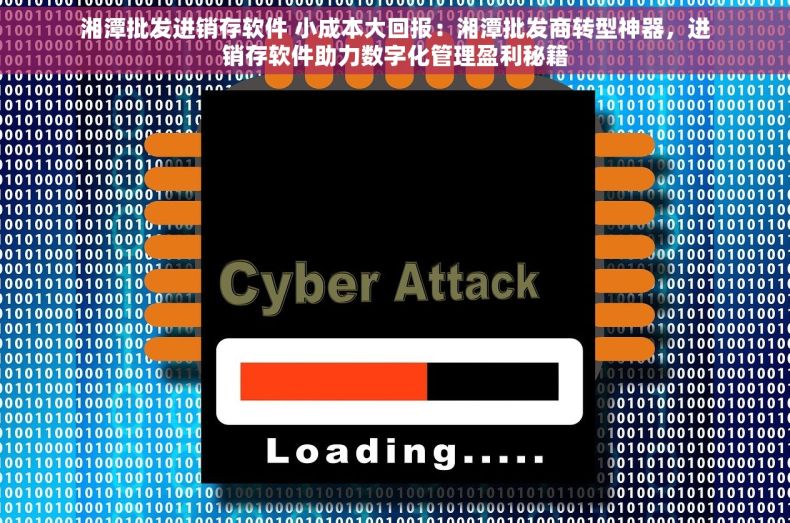 湘潭批发进销存软件 小成本大回报：湘潭批发商转型神器，进销存软件助力数字化管理盈利秘籍