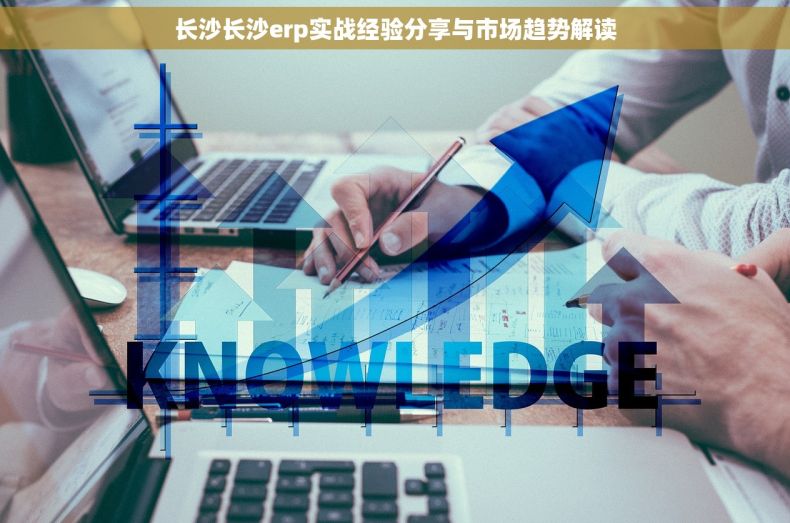 长沙长沙erp实战经验分享与市场趋势解读
