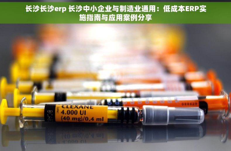 长沙长沙erp 长沙中小企业与制造业通用：低成本ERP实施指南与应用案例分享
