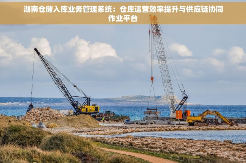 湖南仓储入库业务管理系统：仓库运营效率提升与供应链协同作业平台
