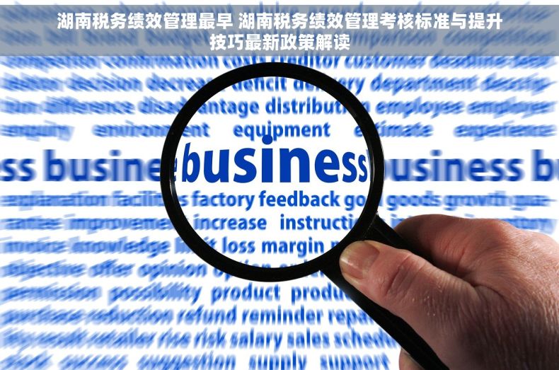 湖南税务绩效管理最早 湖南税务绩效管理考核标准与提升技巧最新政策解读