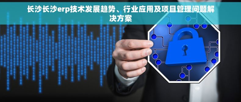 长沙长沙erp技术发展趋势、行业应用及项目管理问题解决方案