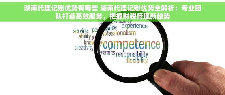 湖南代理记账优势有哪些 湖南代理记账优势全解析：专业团队打造高效服务，把握财税管理新趋势