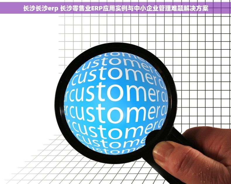 长沙长沙erp 长沙零售业ERP应用实例与中小企业管理难题解决方案