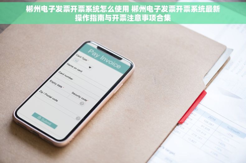 郴州电子发票开票系统怎么使用 郴州电子发票开票系统最新操作指南与开票注意事项合集