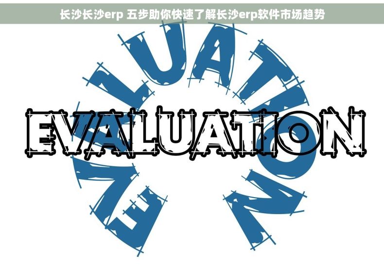 长沙长沙erp 五步助你快速了解长沙erp软件市场趋势