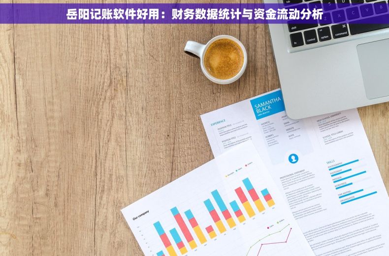 岳阳记账软件好用：财务数据统计与资金流动分析
