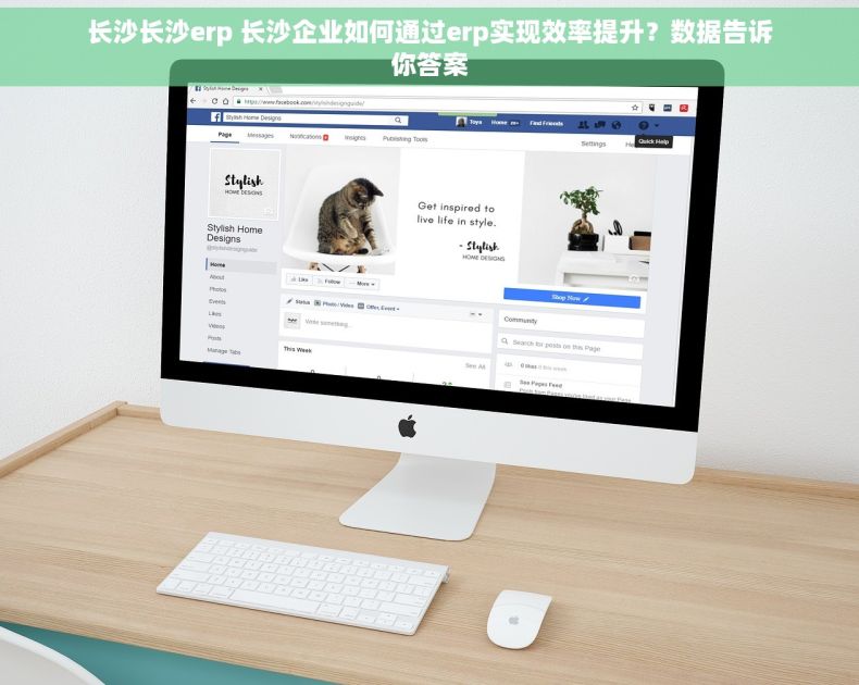 长沙长沙erp 长沙企业如何通过erp实现效率提升？数据告诉你答案