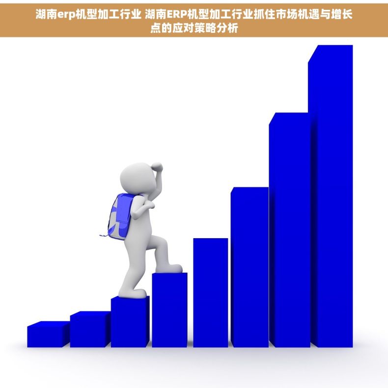 湖南erp机型加工行业 湖南ERP机型加工行业抓住市场机遇与增长点的应对策略分析