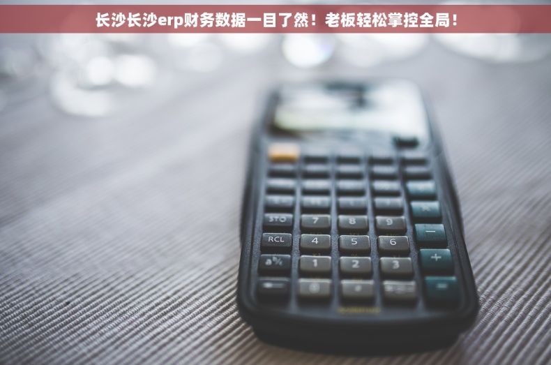 长沙长沙erp财务数据一目了然！老板轻松掌控全局！