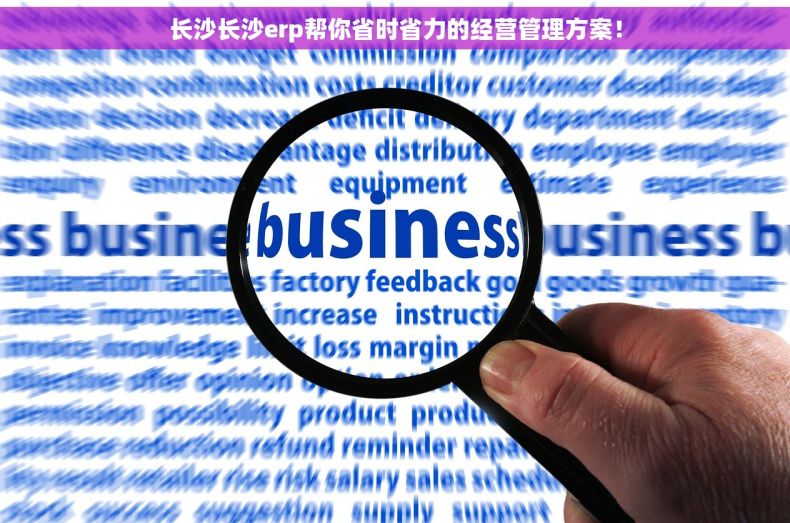 长沙长沙erp帮你省时省力的经营管理方案！