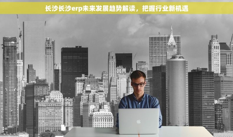 长沙长沙erp未来发展趋势解读，把握行业新机遇