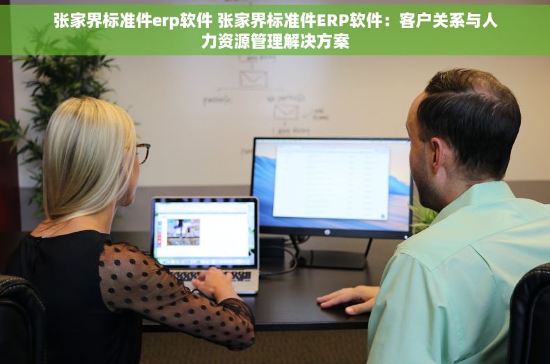 张家界标准件erp软件 张家界标准件ERP软件：客户关系与人力资源管理解决方案