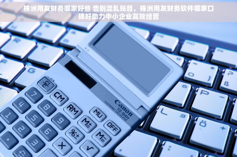 株洲用友财务哪家好些 告别混乱账目，株洲用友财务软件哪家口碑好助力中小企业高效经营