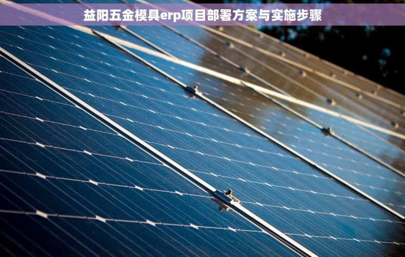 益阳五金模具erp项目部署方案与实施步骤