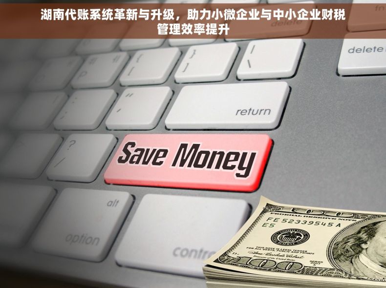 湖南代账系统革新与升级，助力小微企业与中小企业财税管理效率提升
