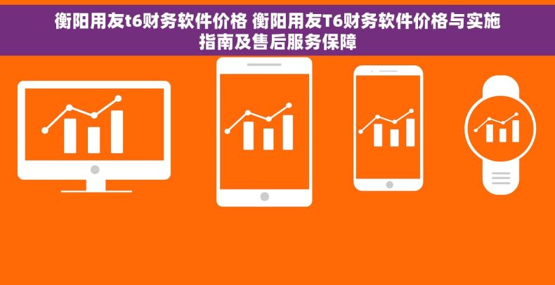 衡阳用友t6财务软件价格 衡阳用友T6财务软件价格与实施指南及售后服务保障
