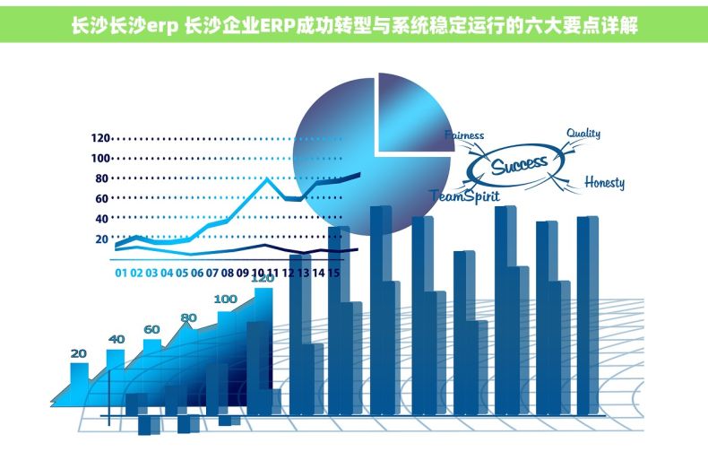 长沙长沙erp 长沙企业ERP成功转型与系统稳定运行的六大要点详解