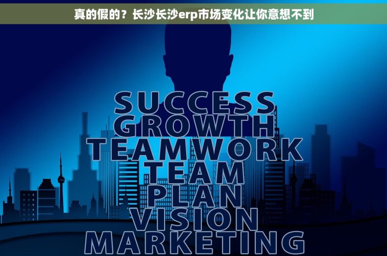 真的假的？长沙长沙erp市场变化让你意想不到