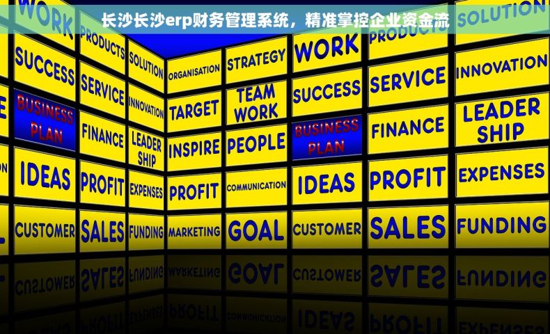 长沙长沙erp财务管理系统，精准掌控企业资金流
