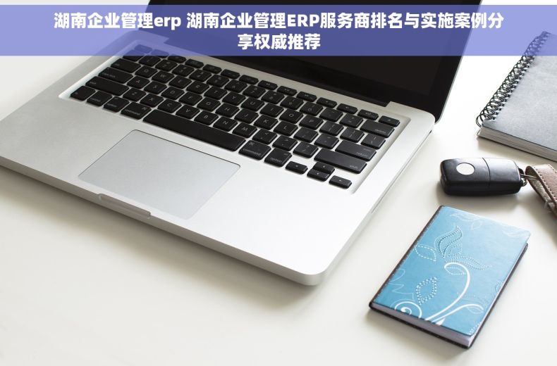 湖南企业管理erp 湖南企业管理ERP服务商排名与实施案例分享权威推荐