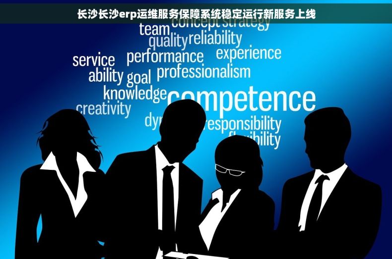 长沙长沙erp运维服务保障系统稳定运行新服务上线
