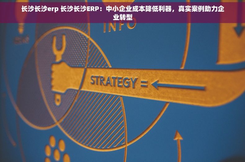 长沙长沙erp 长沙长沙ERP：中小企业成本降低利器，真实案例助力企业转型