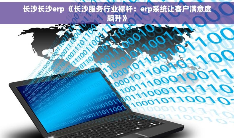 长沙长沙erp 《长沙服务行业标杆：erp系统让客户满意度飙升》