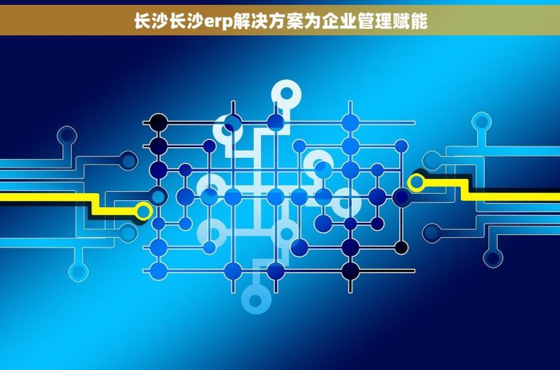 长沙长沙erp解决方案为企业管理赋能