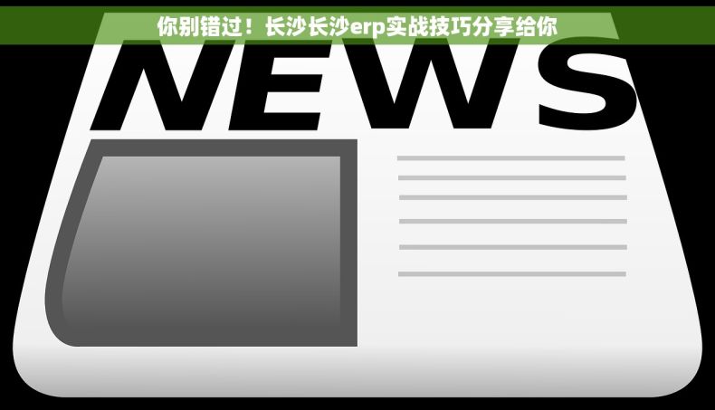 你别错过！长沙长沙erp实战技巧分享给你