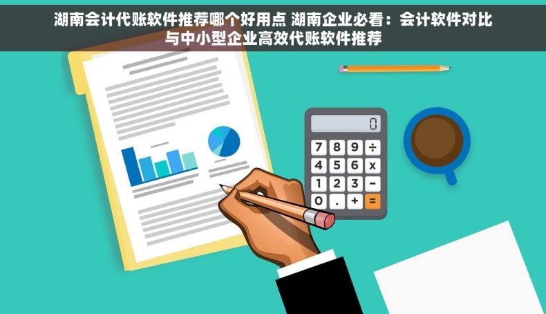 湖南会计代账软件推荐哪个好用点 湖南企业必看：会计软件对比与中小型企业高效代账软件推荐