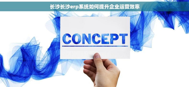 长沙长沙erp系统如何提升企业运营效率