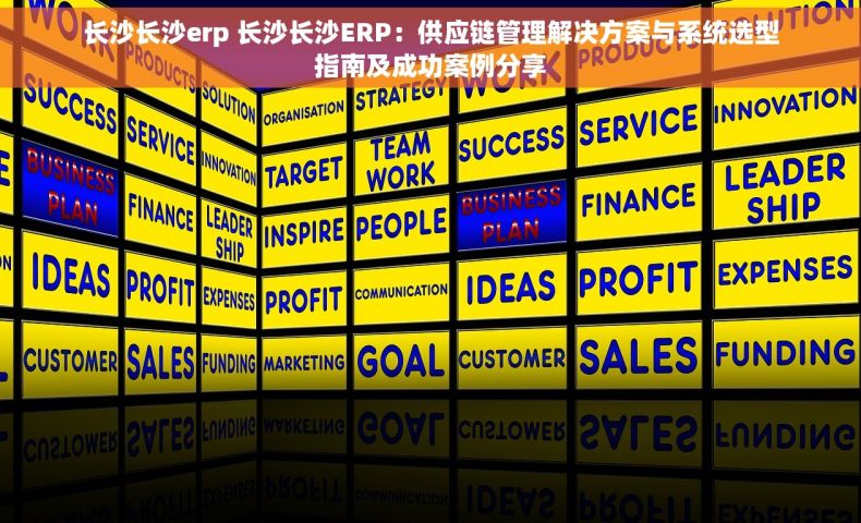长沙长沙erp 长沙长沙ERP：供应链管理解决方案与系统选型指南及成功案例分享