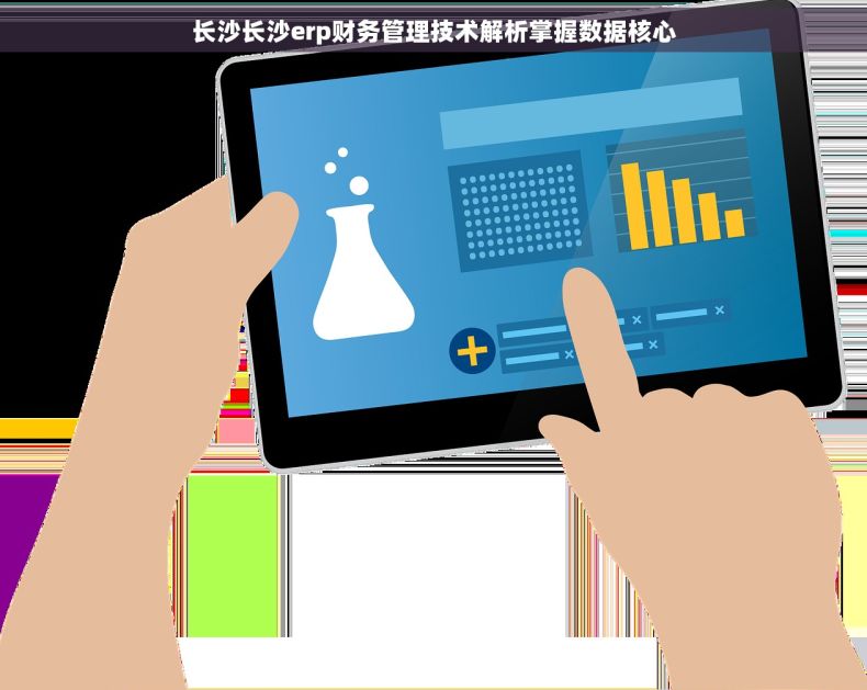 长沙长沙erp财务管理技术解析掌握数据核心