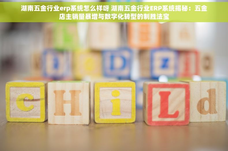 湖南五金行业erp系统怎么样呀 湖南五金行业ERP系统揭秘：五金店主销量暴增与数字化转型的制胜法宝