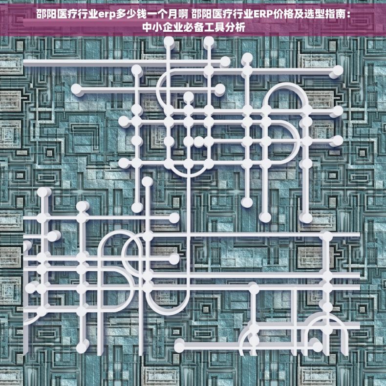邵阳医疗行业erp多少钱一个月啊 邵阳医疗行业ERP价格及选型指南：中小企业必备工具分析