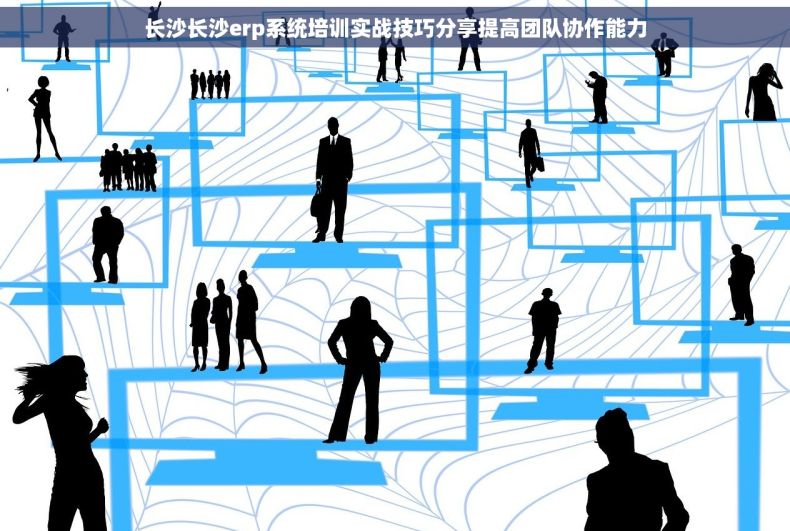长沙长沙erp系统培训实战技巧分享提高团队协作能力