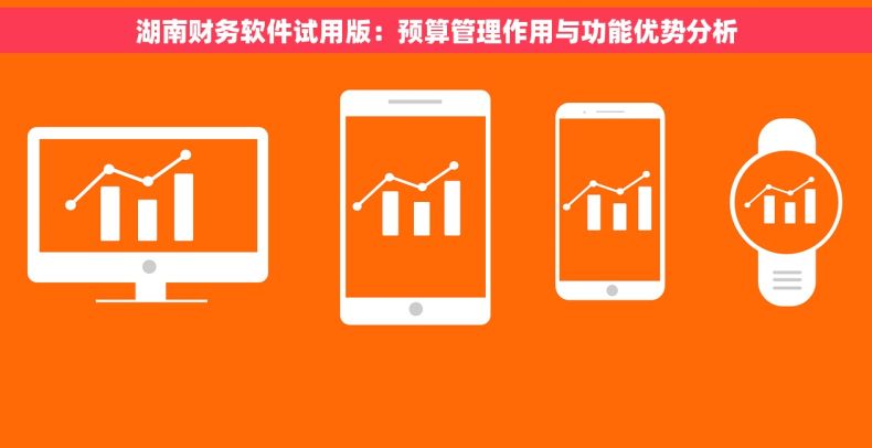 湖南财务软件试用版：预算管理作用与功能优势分析