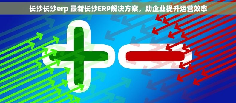 长沙长沙erp 最新长沙ERP解决方案，助企业提升运营效率