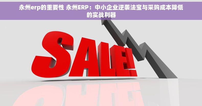 永州erp的重要性 永州ERP：中小企业逆袭法宝与采购成本降低的实战利器