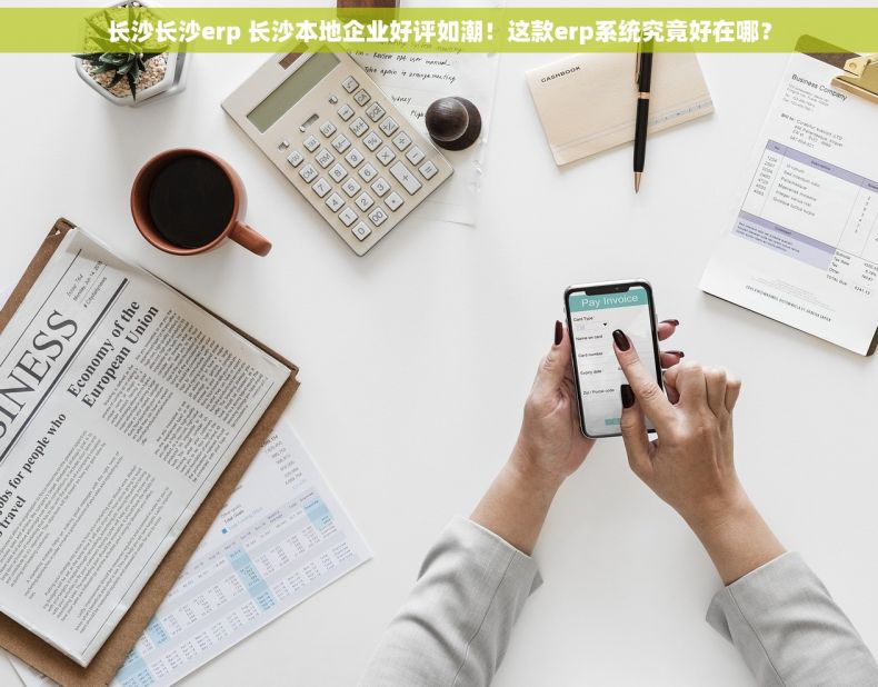 长沙长沙erp 长沙本地企业好评如潮！这款erp系统究竟好在哪？