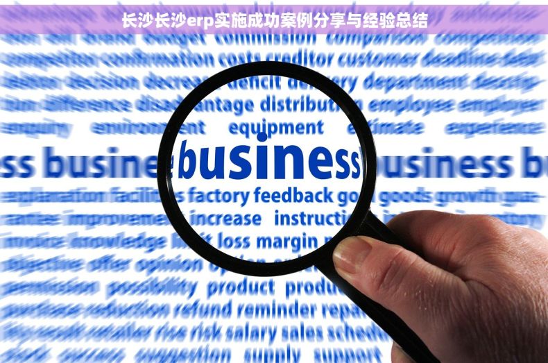 长沙长沙erp实施成功案例分享与经验总结
