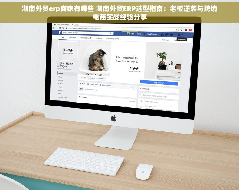 湖南外贸erp商家有哪些 湖南外贸ERP选型指南：老板逆袭与跨境电商实战经验分享