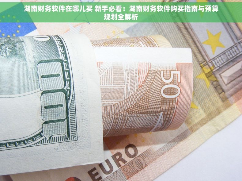 湖南财务软件在哪儿买 新手必看：湖南财务软件购买指南与预算规划全解析