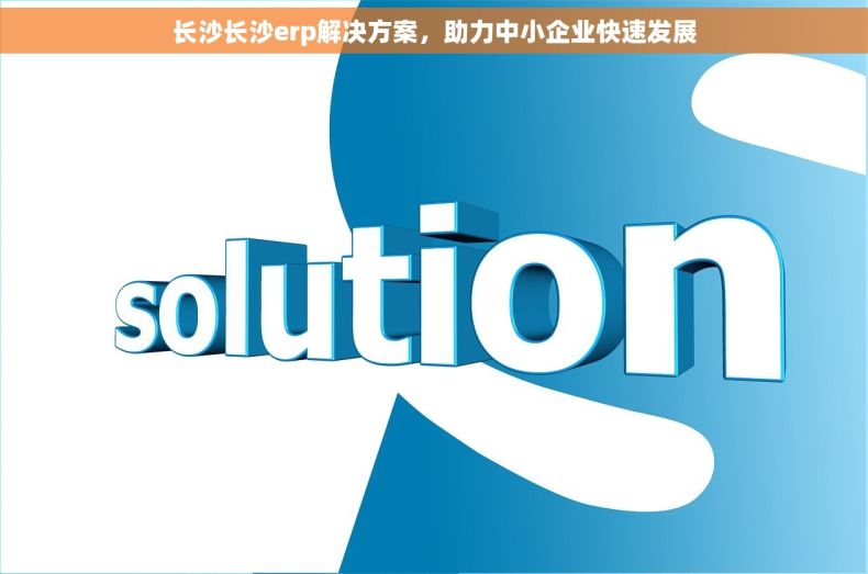 长沙长沙erp解决方案，助力中小企业快速发展