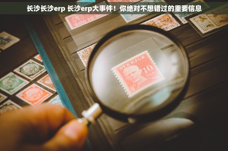 长沙长沙erp 长沙erp大事件！你绝对不想错过的重要信息