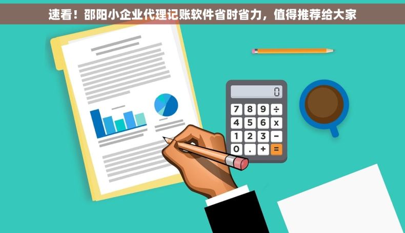 速看！邵阳小企业代理记账软件省时省力，值得推荐给大家