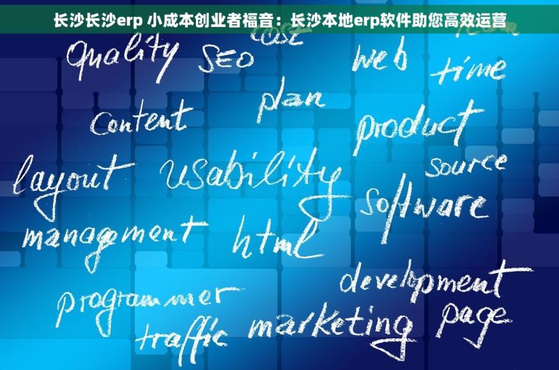 长沙长沙erp 小成本创业者福音：长沙本地erp软件助您高效运营