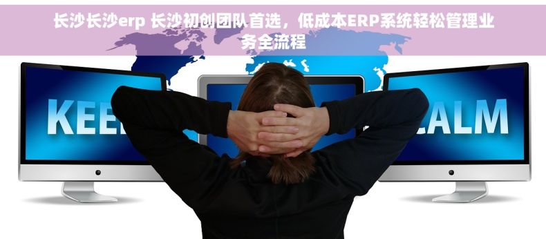 长沙长沙erp 长沙初创团队首选，低成本ERP系统轻松管理业务全流程