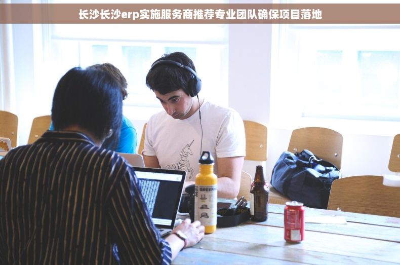 长沙长沙erp实施服务商推荐专业团队确保项目落地
